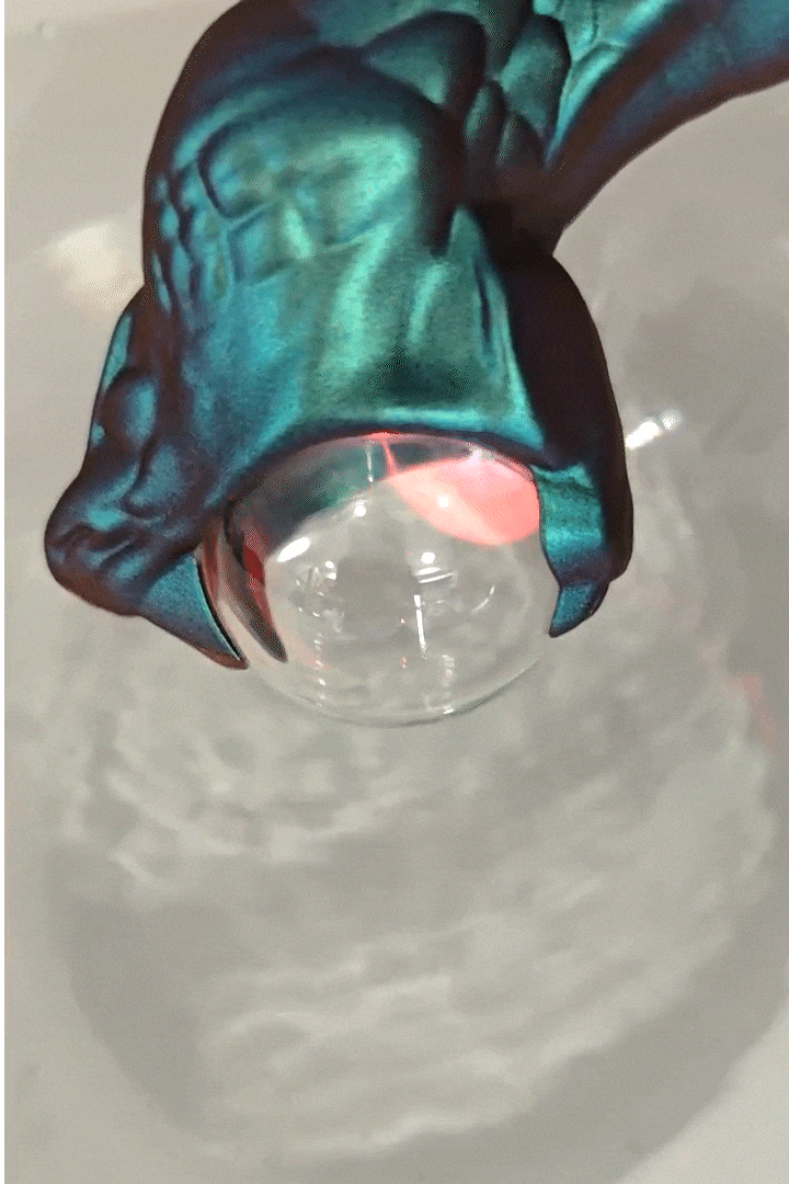 4.gif